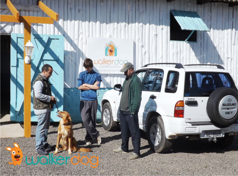 centro canino walkerdog - adestramento de caes 12