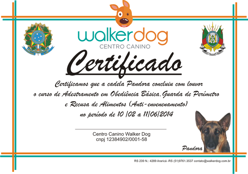 centro canino walkerdog - adestramento de caes 40