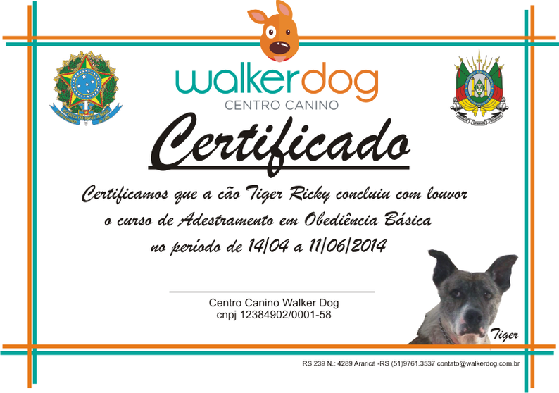 centro canino walkerdog - adestramento de caes 48