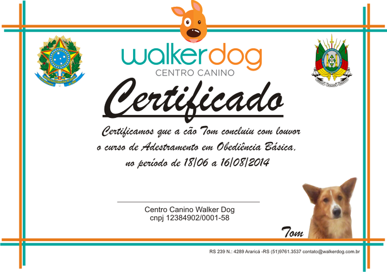 centro canino walkerdog - adestramento de caes 52